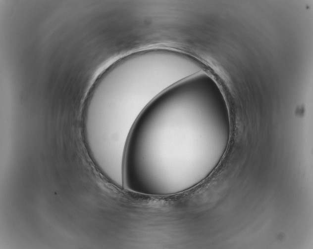 X0000091181316200708091038