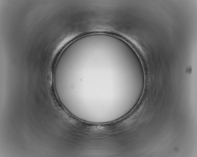 X0000091181317200708091038