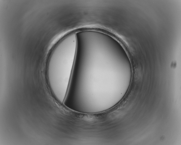 X0000091181319200708091038
