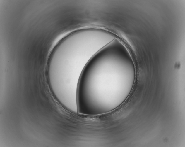 X0000091181320200708091038