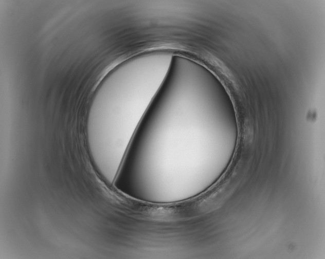 X0000091181321200708091038