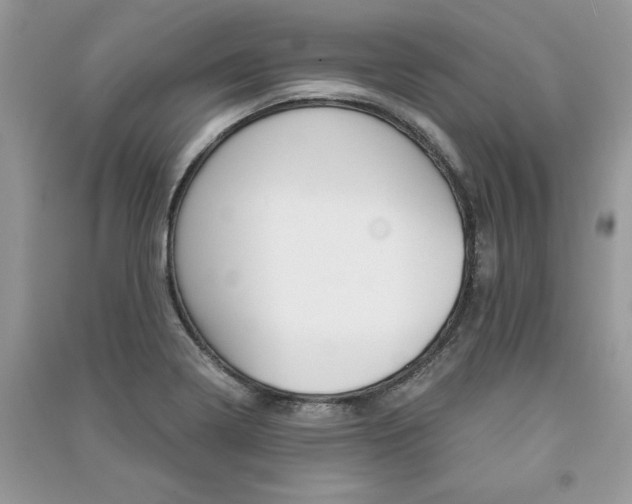 X0000091181322200708091038