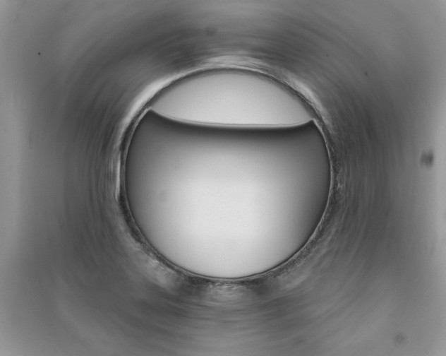 X0000091181323200708091038