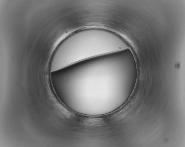 X0000091181325200708091038