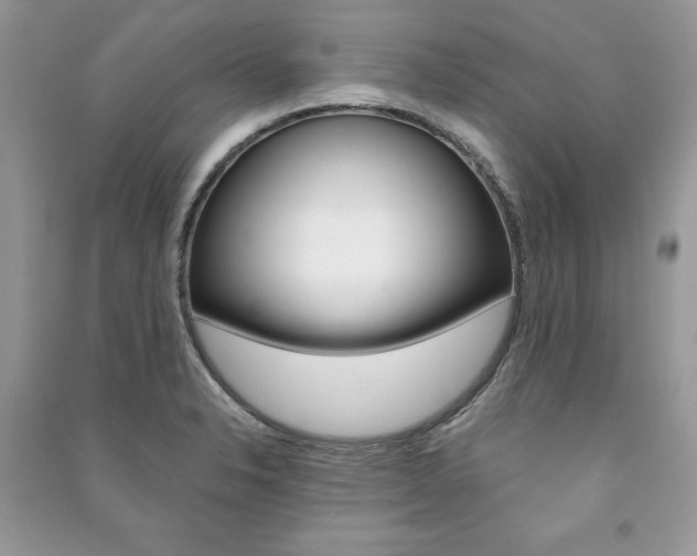 X0000091181326200708091038