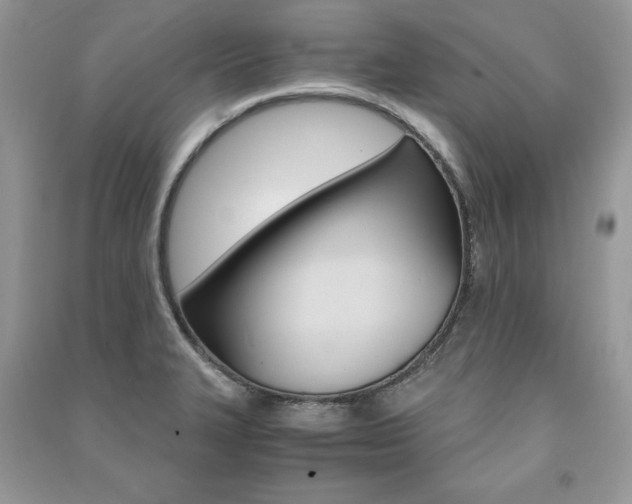 X0000091181327200708091038