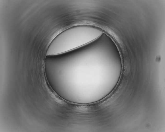X0000091181329200708091038