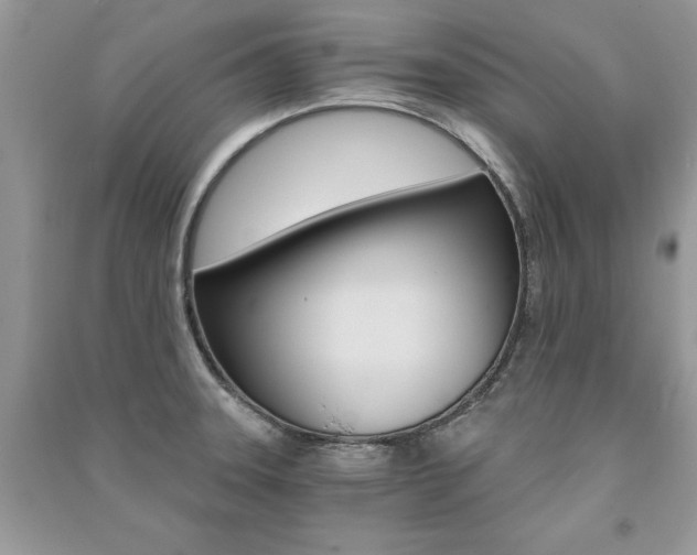 X0000091181331200708091038