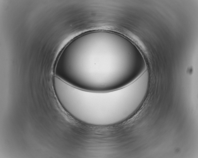 X0000091181332200708091038