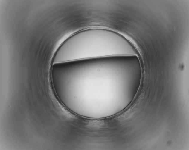 X0000091181333200708091038