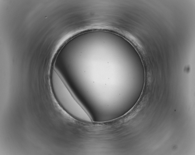 X0000091181334200708091038