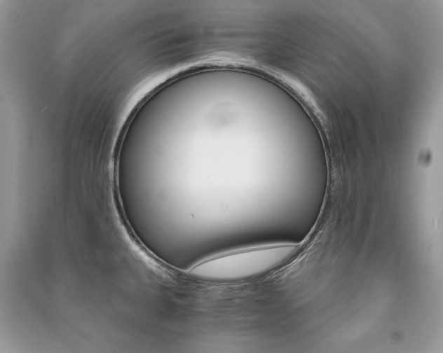 X0000091181335200708091038