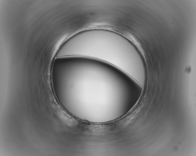 X0000091181336200708091038