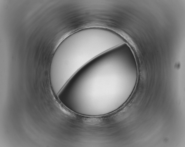 X0000091181337200708091038