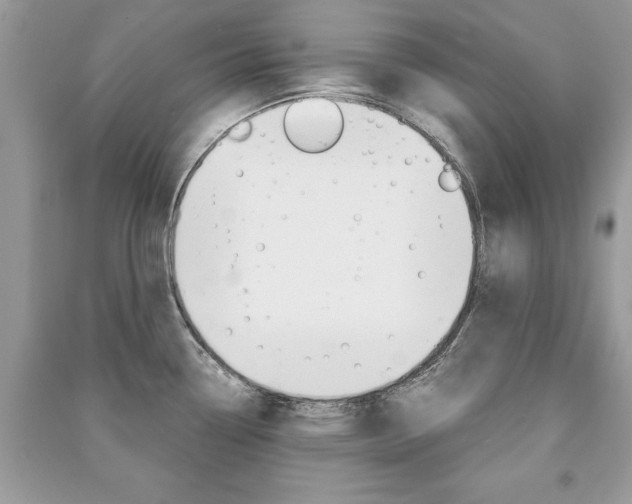 X0000091181338200708091038