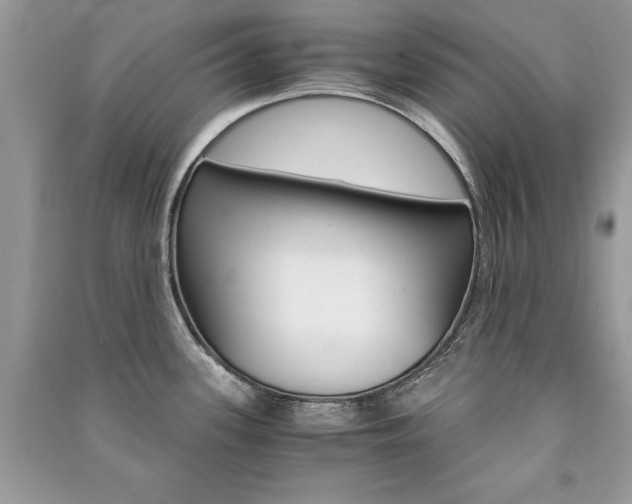 X0000091181339200708091038