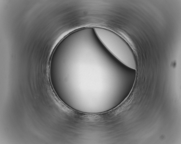 X0000091181340200708091038