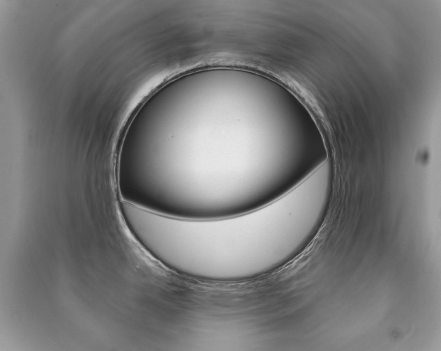 X0000091181342200708091038