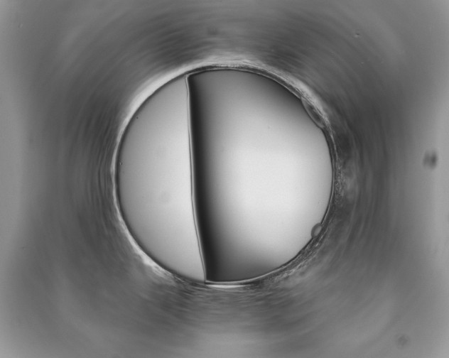 X0000091181343200708091038