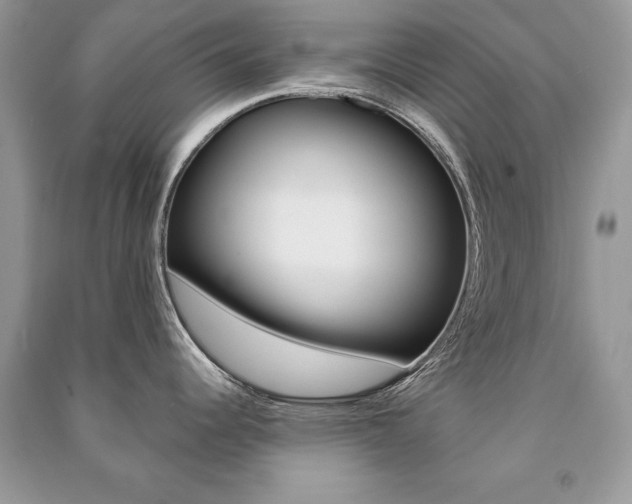 X0000091181344200708091038