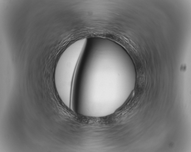 X0000091181345200708091037