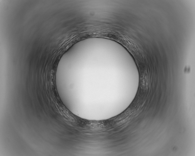 X0000091181346200708091037