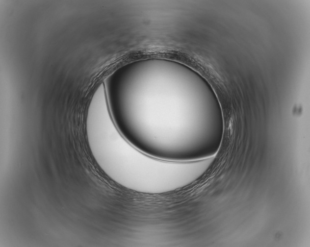 X0000091181348200708091037