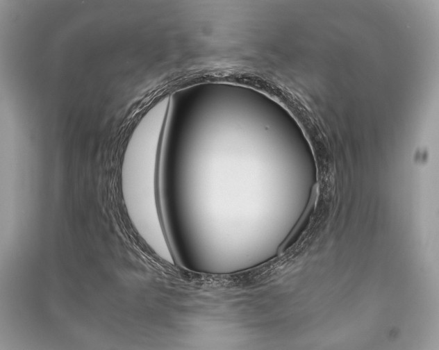 X0000091181349200708091037