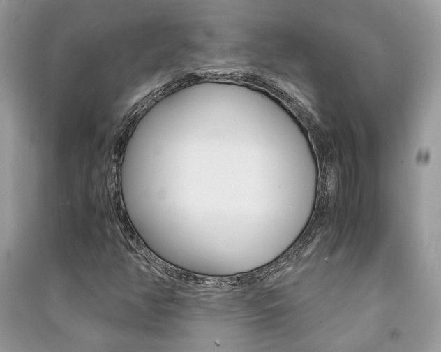 X0000091181350200708091037
