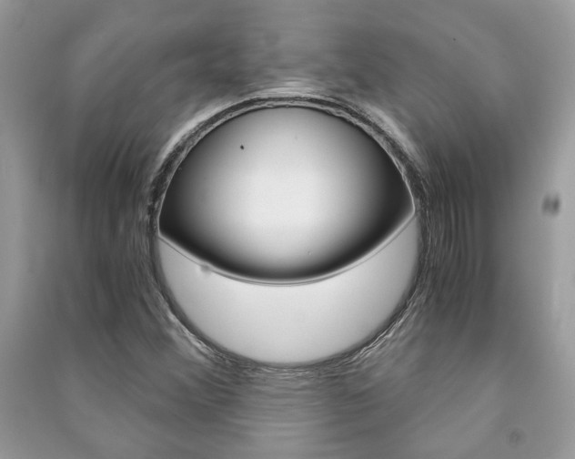 X0000091181356200708091037