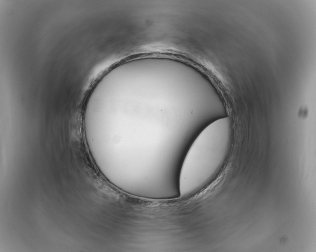 X0000091181358200708091037