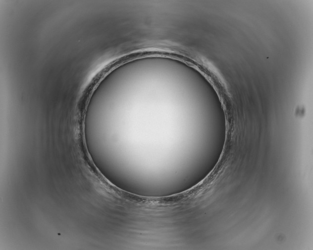 X0000091181360200708091037