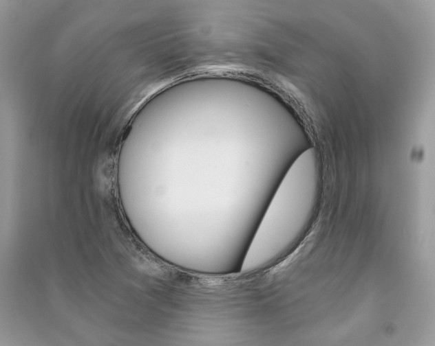 X0000091181361200708091037