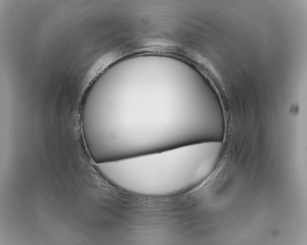 X0000091181362200708091037
