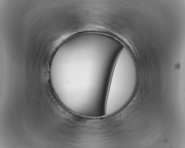 X0000091181363200708091037