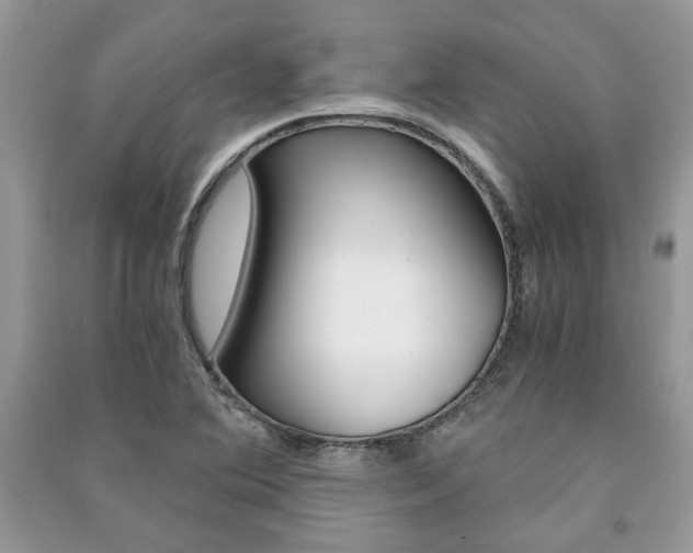X0000091181364200708091037