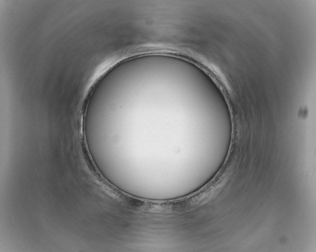 X0000091181365200708091037