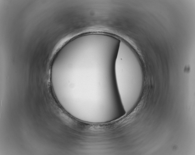 X0000091181366200708091037