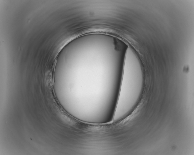 X0000091181369200708091037