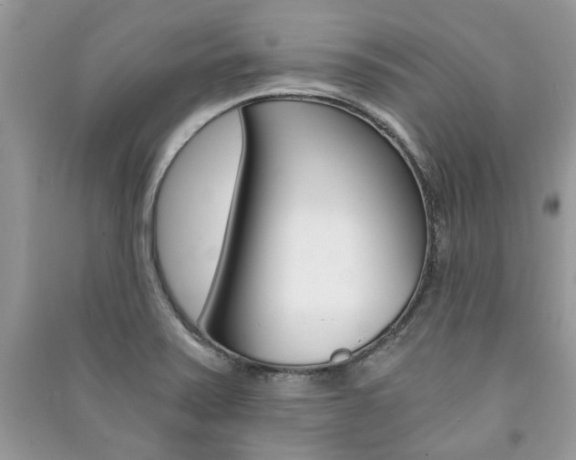 X0000091181371200708091037