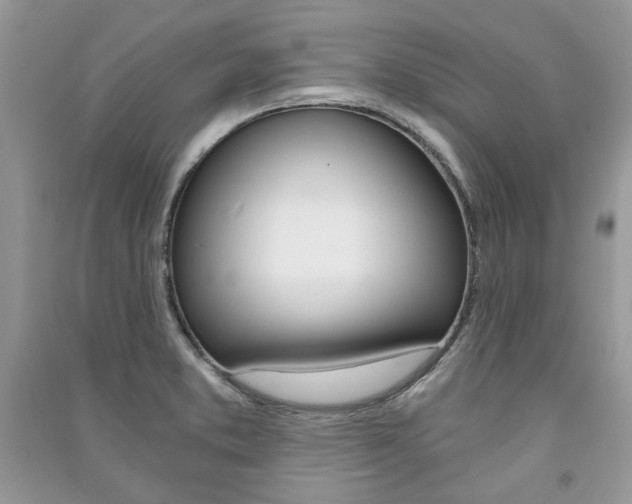X0000091181373200708091037