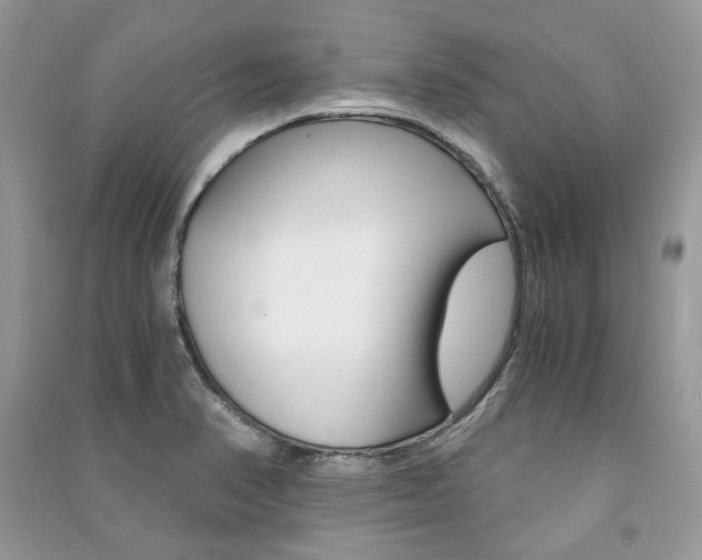 X0000091181374200708091037