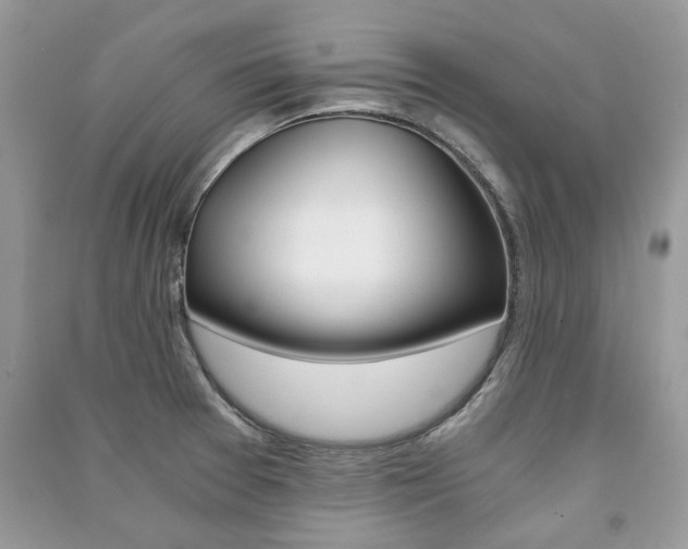 X0000091181377200708091037