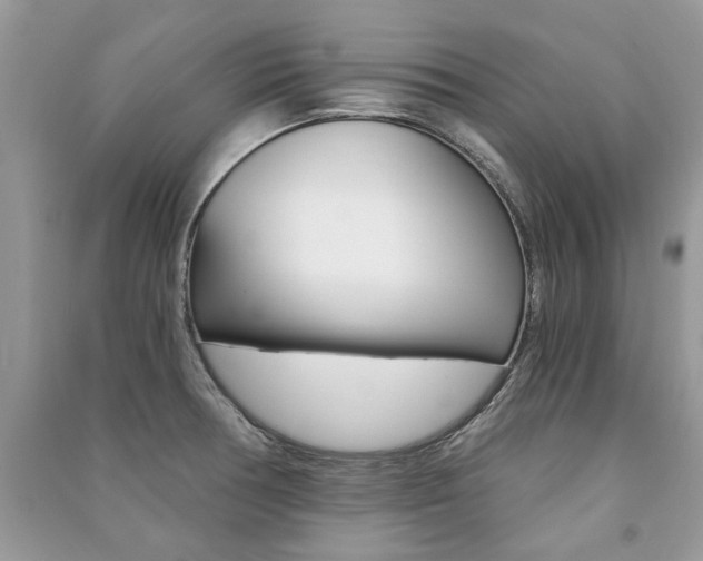 X0000091181378200708091037