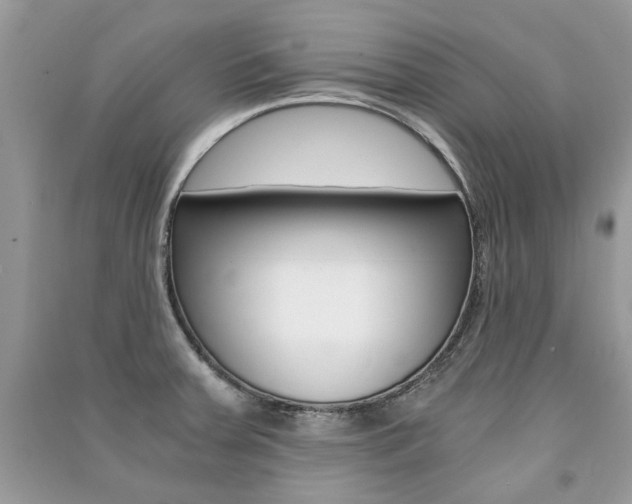 X0000091181379200708091037