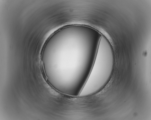 X0000091181380200708091037
