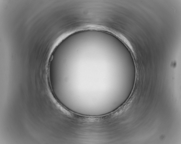 X0000091181381200708091037