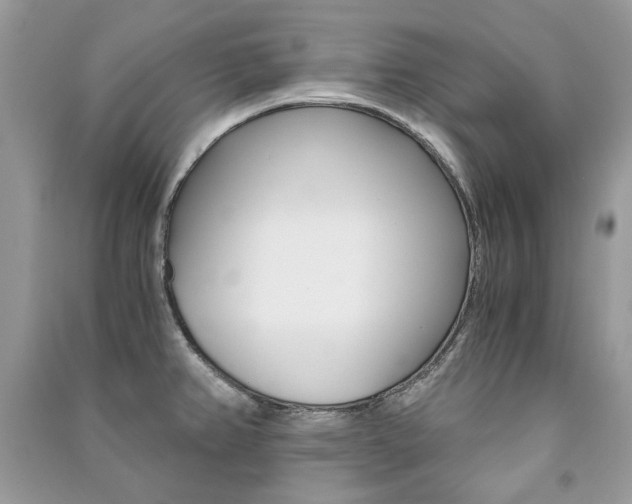 X0000091181382200708091037