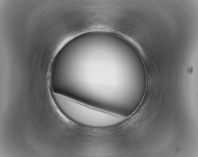 X0000091181383200708091037