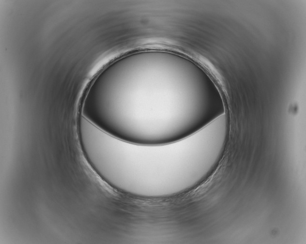 X0000091181384200708091037